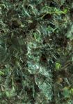 Green Marine Algae LG 30 gr/ Зеленые морские водоросли 30 г.