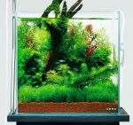 DOOA Glass Cover for System Aqua 30 (W282xH195mm) / Покровное стекло для System Aqua 30