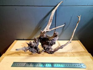 Коряги для Природного Аквариума Horn Wood ADA. Размер M, вар.1, 1 шт. ― Неомарин - профессиональная аквариумистика