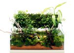 DOOA Wabi kusa mat (6pcs) / Маты для крепления растений - 6 штук
